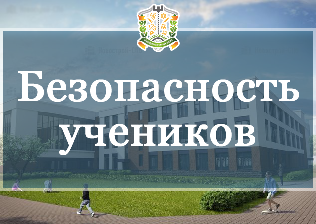 Безопасность учеников.